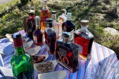 IMG-20240925-WA0078