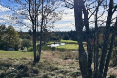 IMG-20240925-WA0080