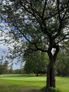 Kunětická Hora a Lázně Bohdaneč – fotografie 127